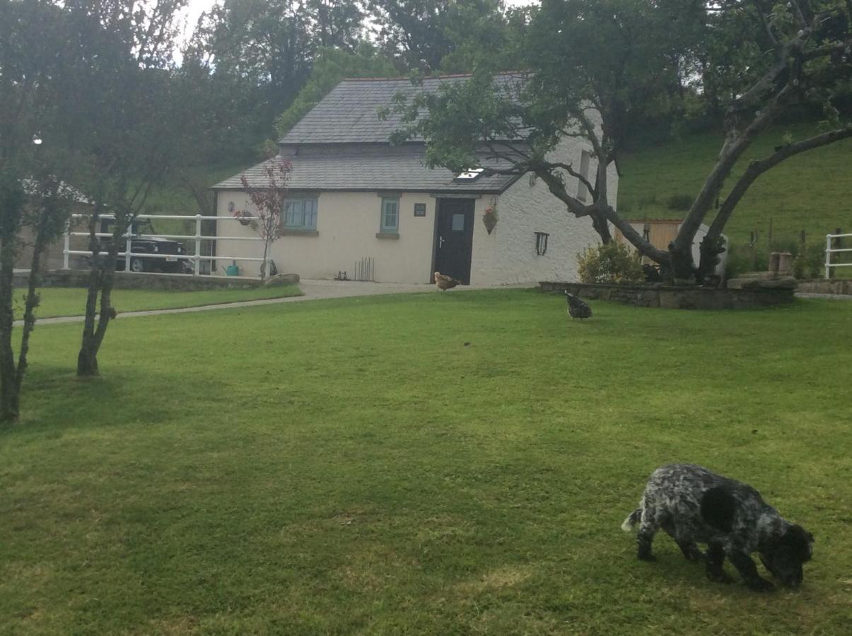 The Little Cow Shed Villa Swansea Ngoại thất bức ảnh